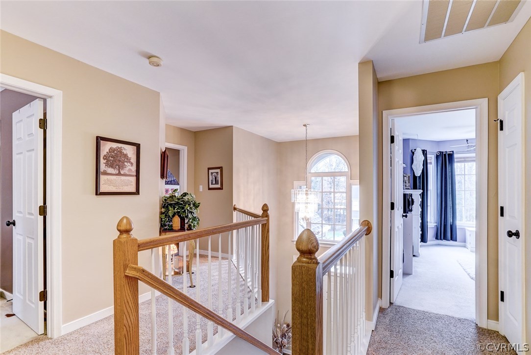5512 Chestnut Bluff Road Midlothian, VA 23112 - Photo 28 of 34