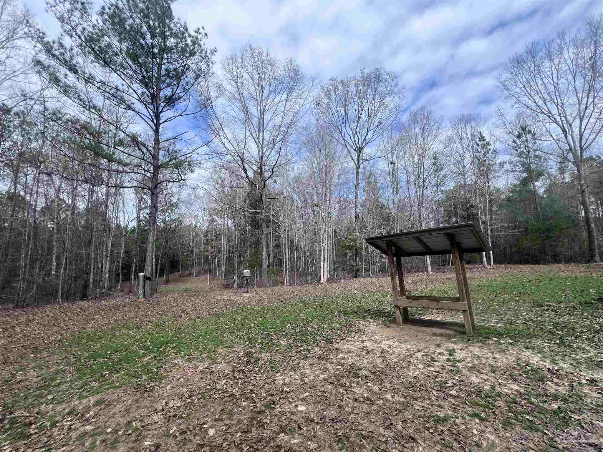 0 Mixonville Road McKenzie, AL 36456 - Photo 8 of 36 a backyard of a house with lots of green space