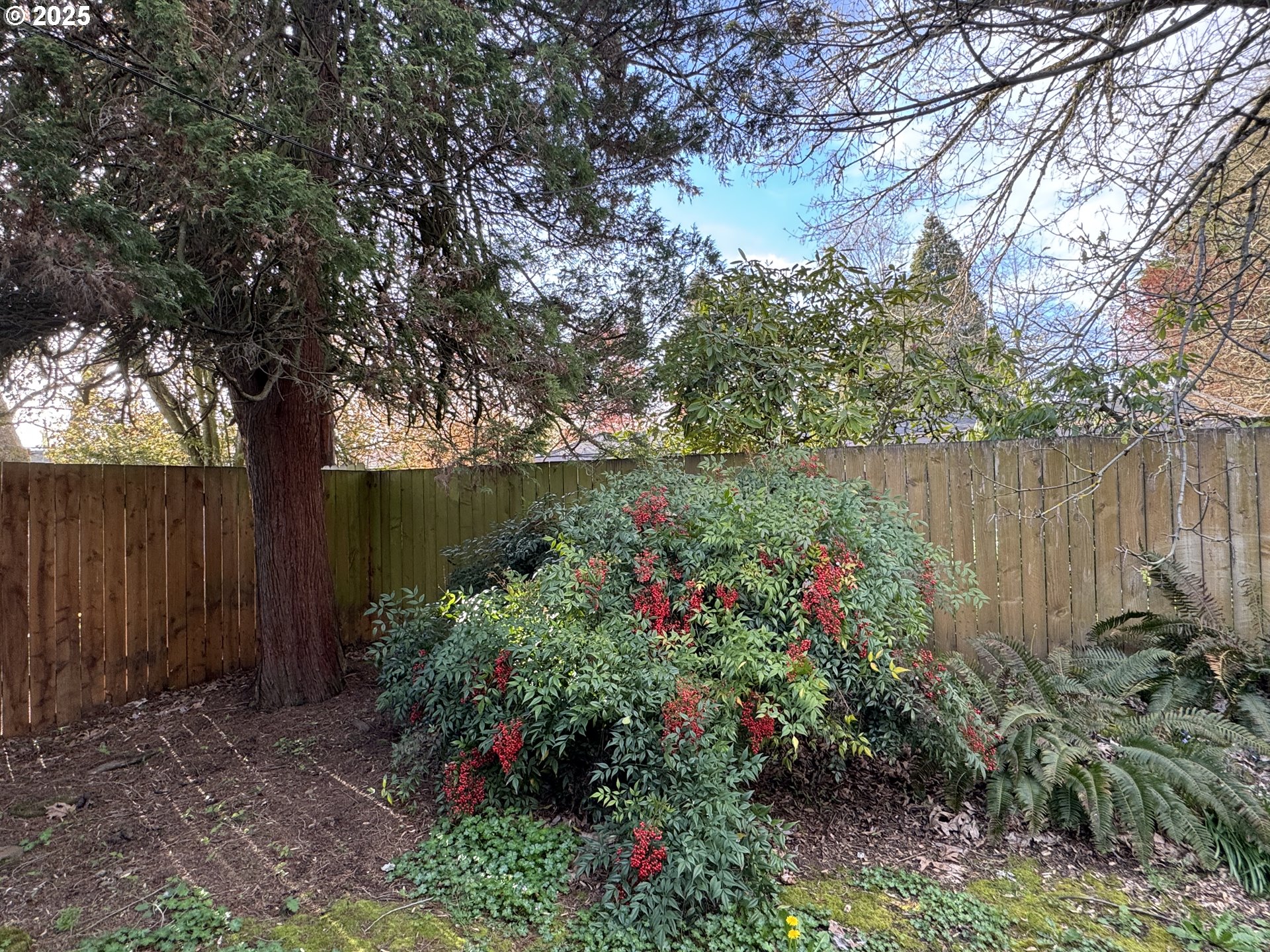 397 River Loop 2 Eugene, OR 97404 - Photo 12 of 42 a view of a garden in a yard
