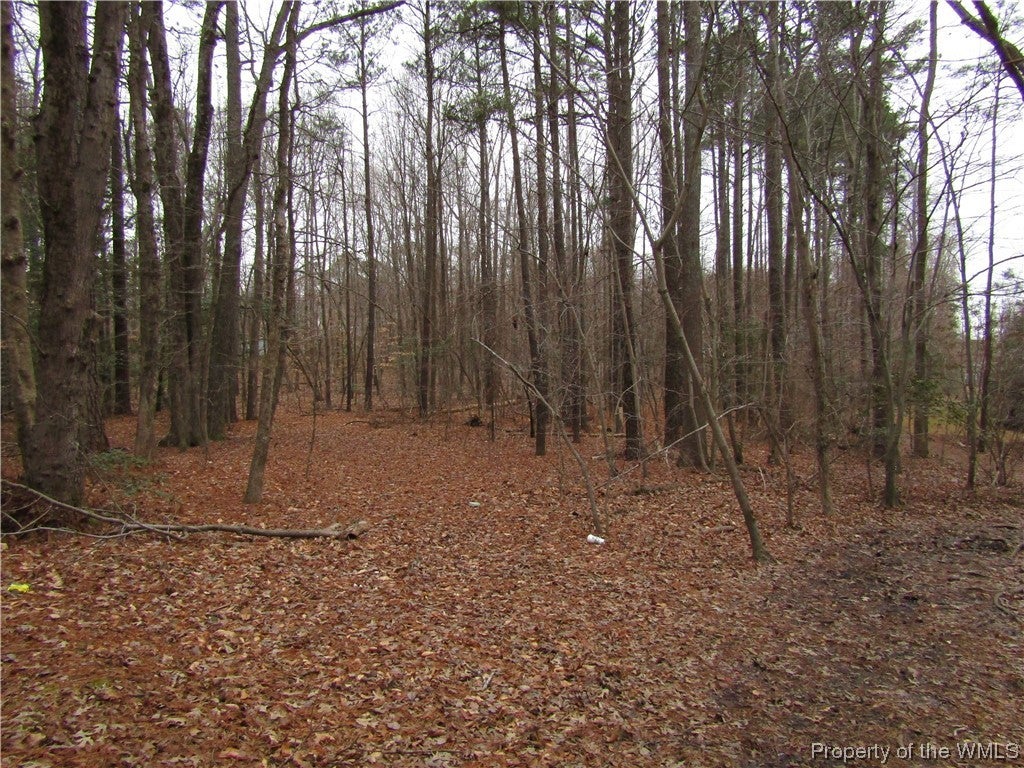 6423 Centerville Road Williamsburg, VA 23188 - Photo 4 of 8 Gallery Image 4
