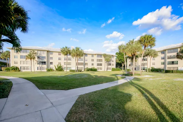 a view of a big room with a big yard and plants