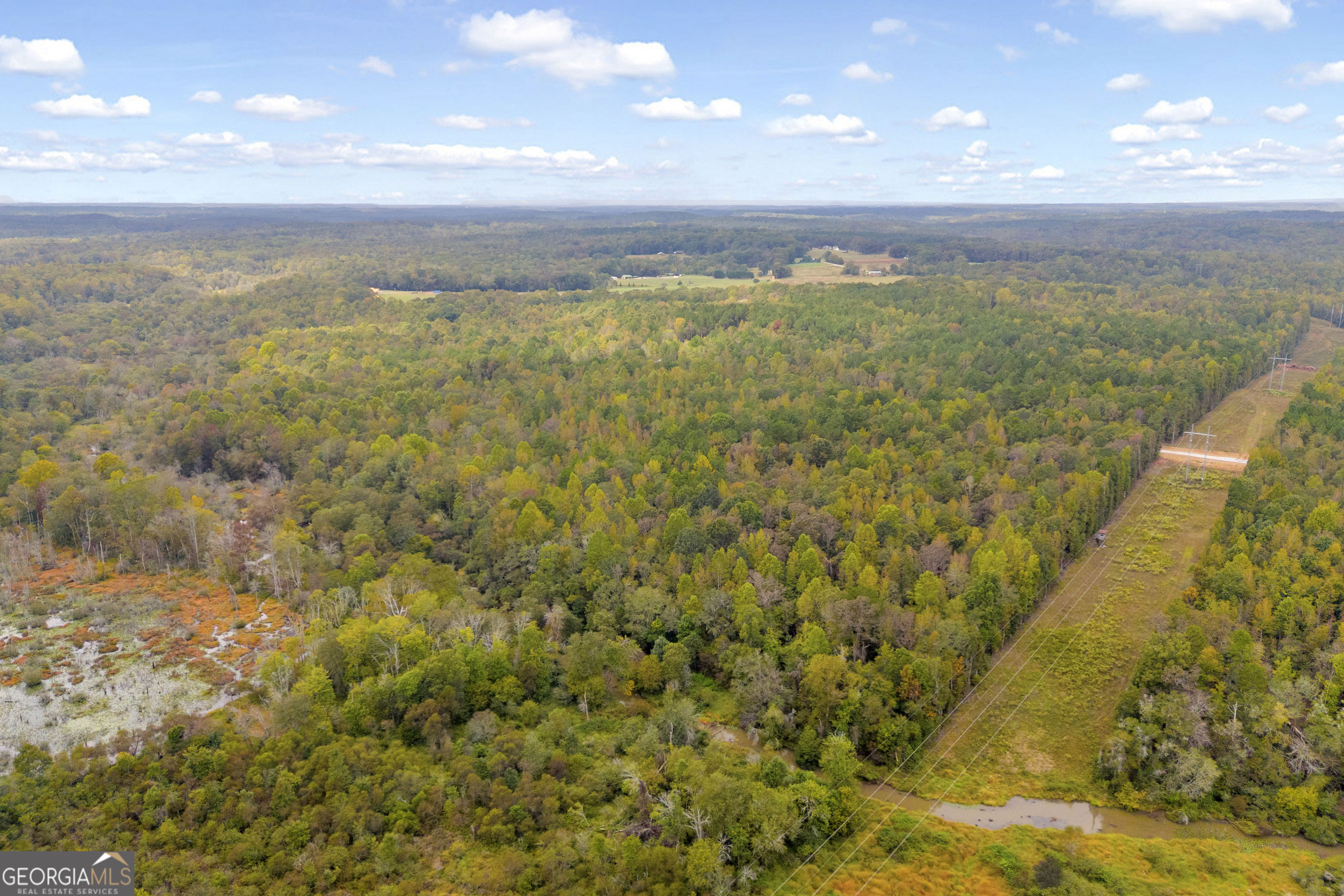 0 Curry Farms Road, Unit LOT 29 Jefferson, GA 30549 - Photo 31 of 36