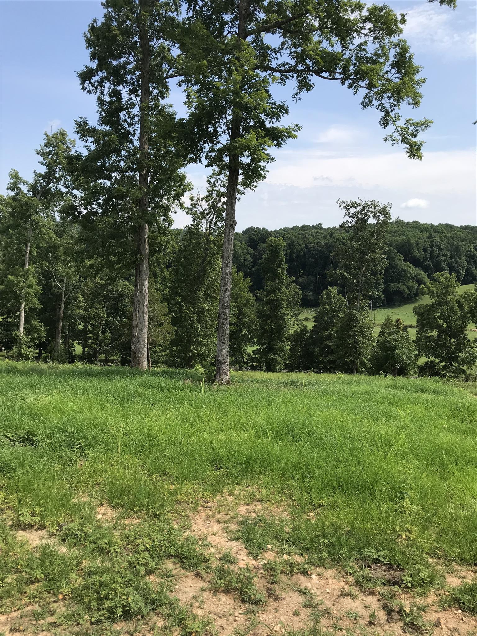 127 Highpoint Road Erin, TN 37061 - Photo 18 of 18 Gallery Image 18