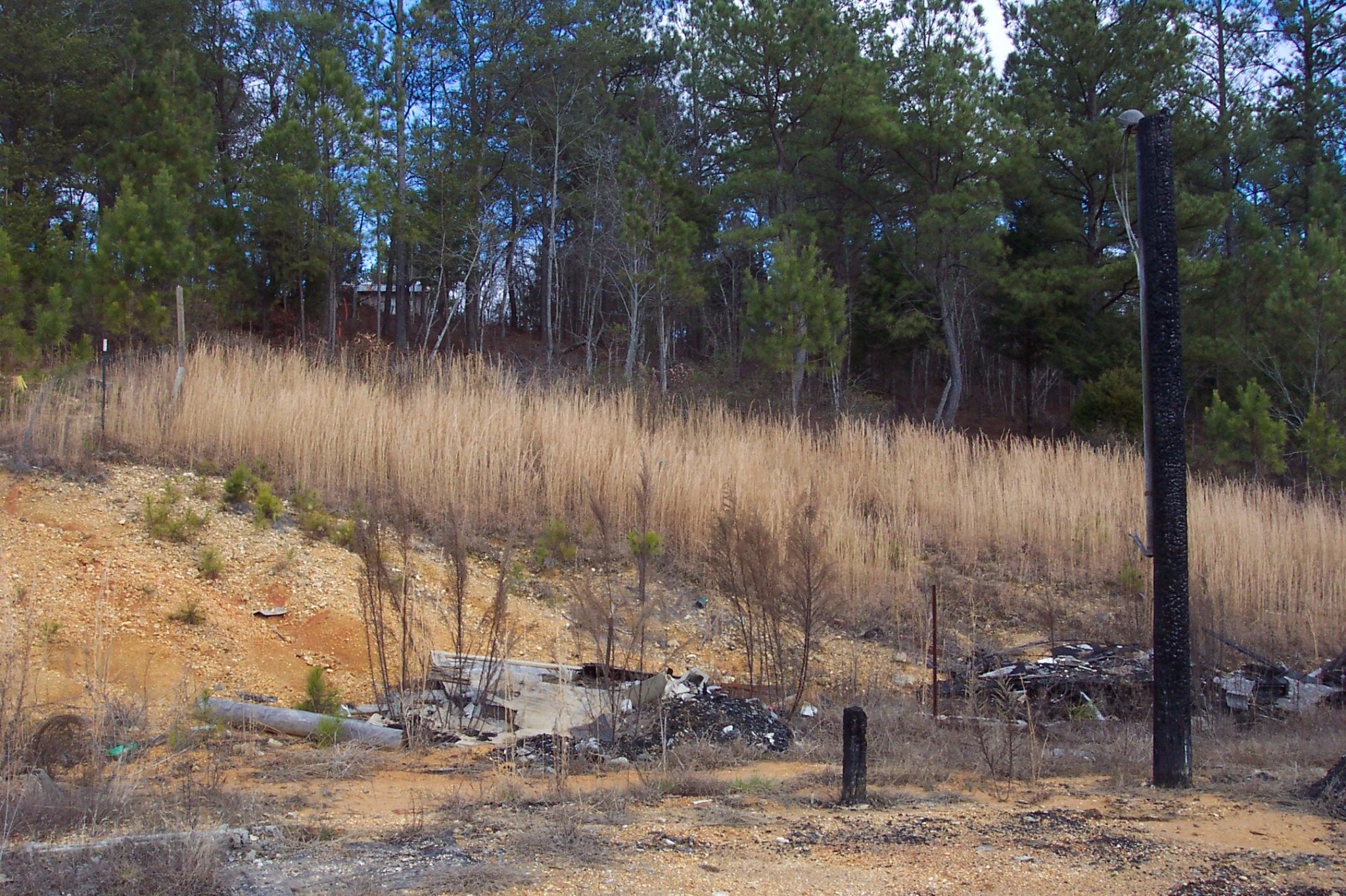 602 Pete Worthington Road Dayton, TN 37321 - Photo 5 of 5 Gallery Image 5