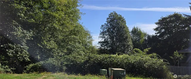 a view of a garden with plants and a tree