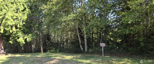 a view of backyard with green space