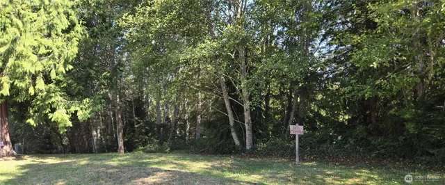 a view of backyard with green space