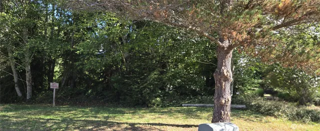 a view of a tree in a yard
