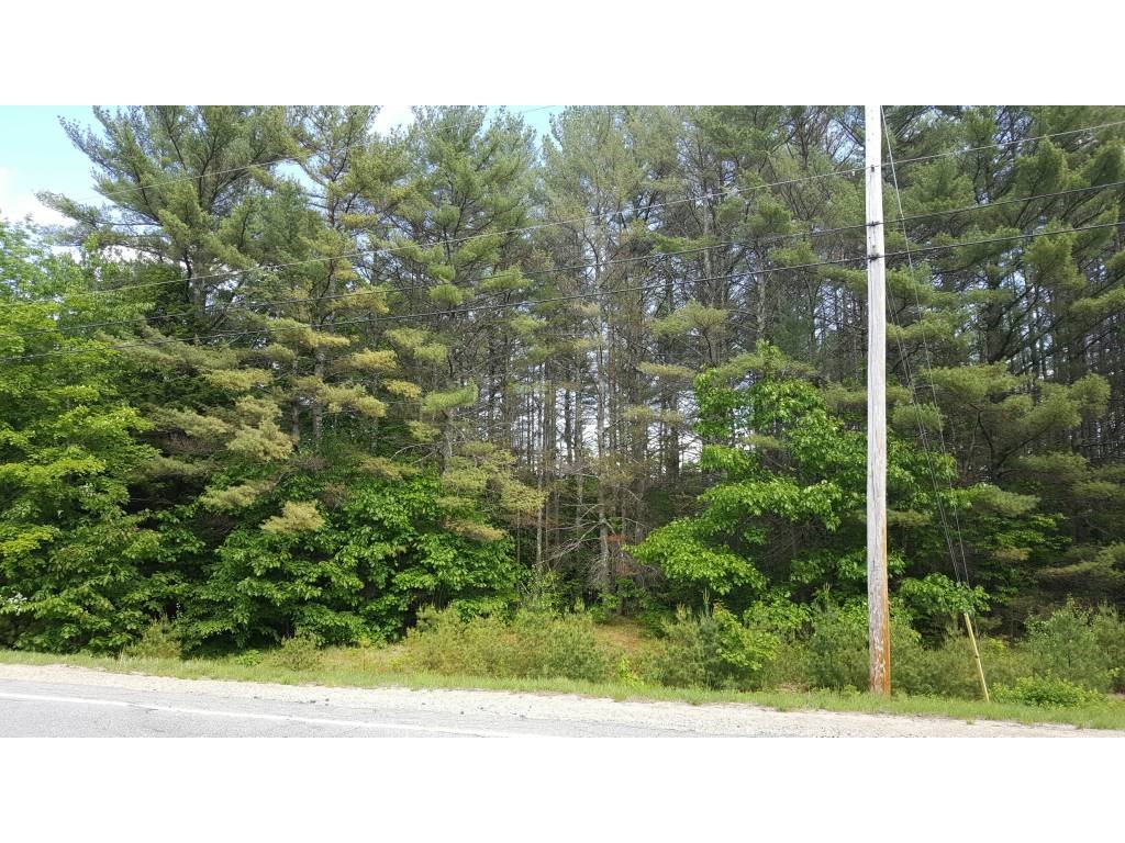 Lot 6 Wakefield Road Union, NH 03887 - Photo 4 of 5