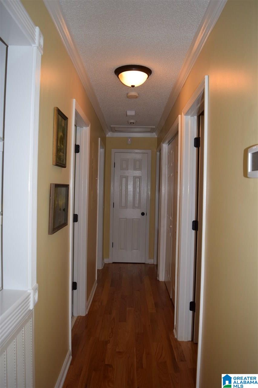 831 Spring Trail Warrior, AL 35180 - Photo 29 of 44