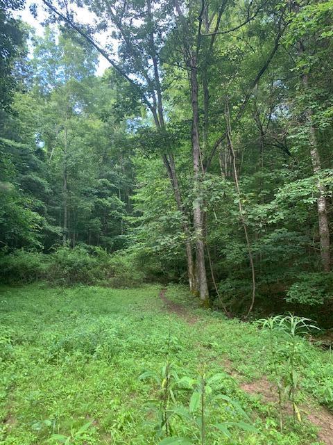 691 Dry Branch Road Hazel Green, KY 41332 - Photo 20 of 33 IMG_4303