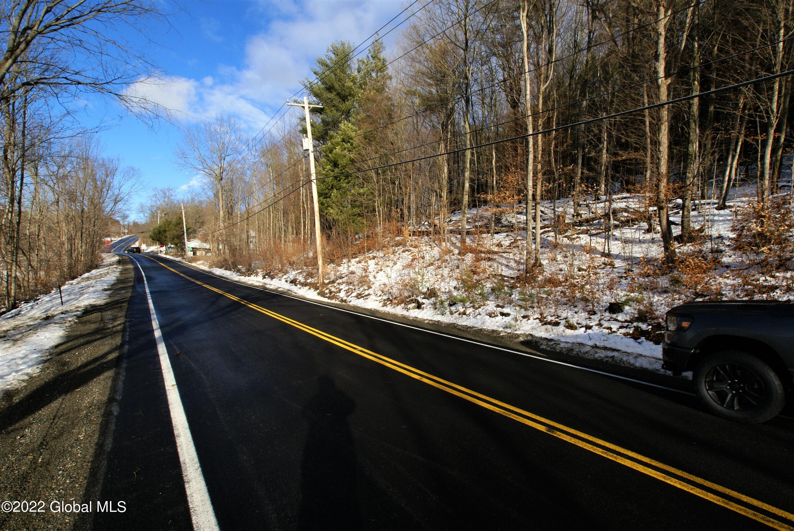 0 County Route 18 Whitehall, NY 12887 - Photo 2 of 4 Downing 24 acres (6)