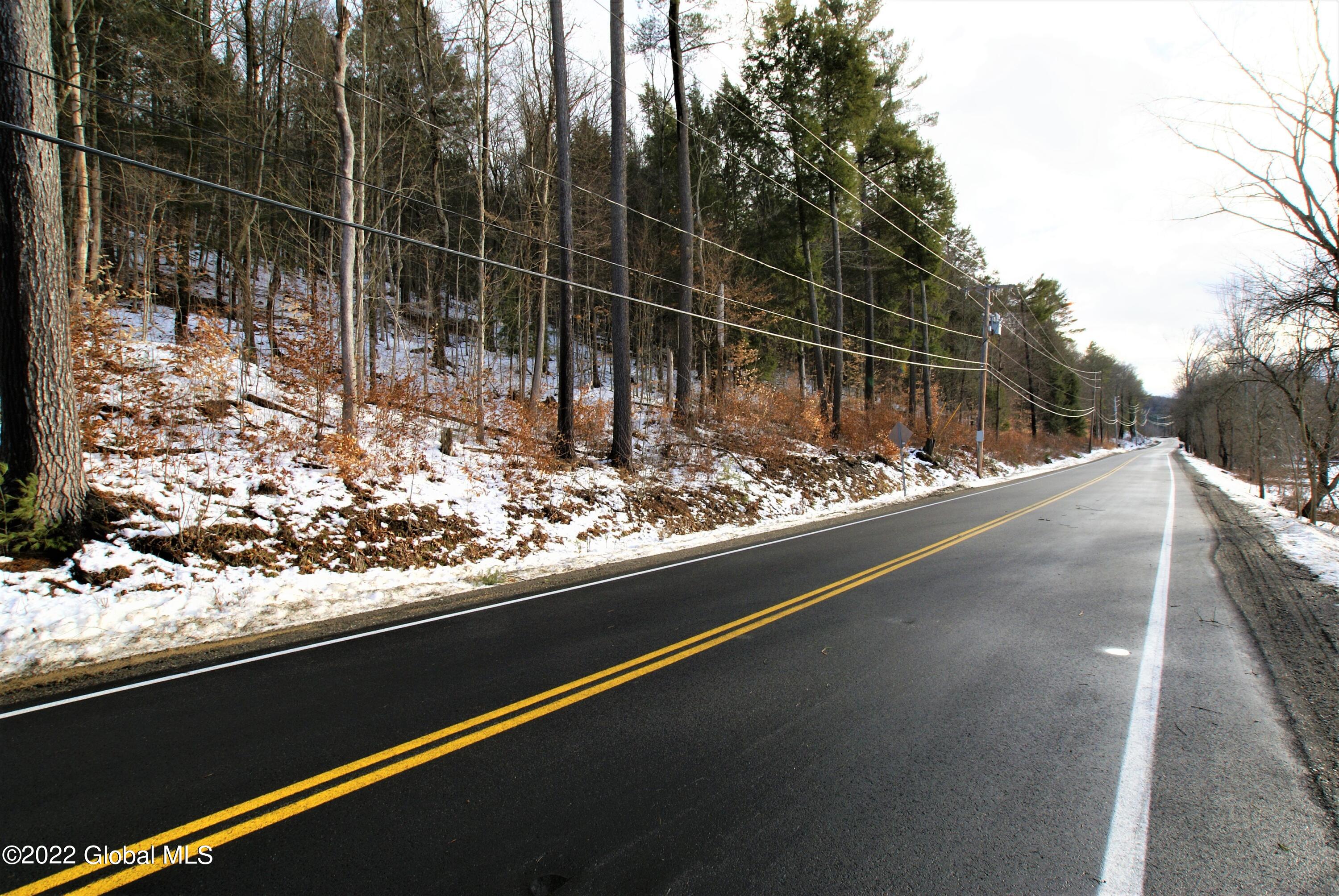 0 County Route 18 Whitehall, NY 12887 - Photo 3 of 4 Downing 24 acres (3)