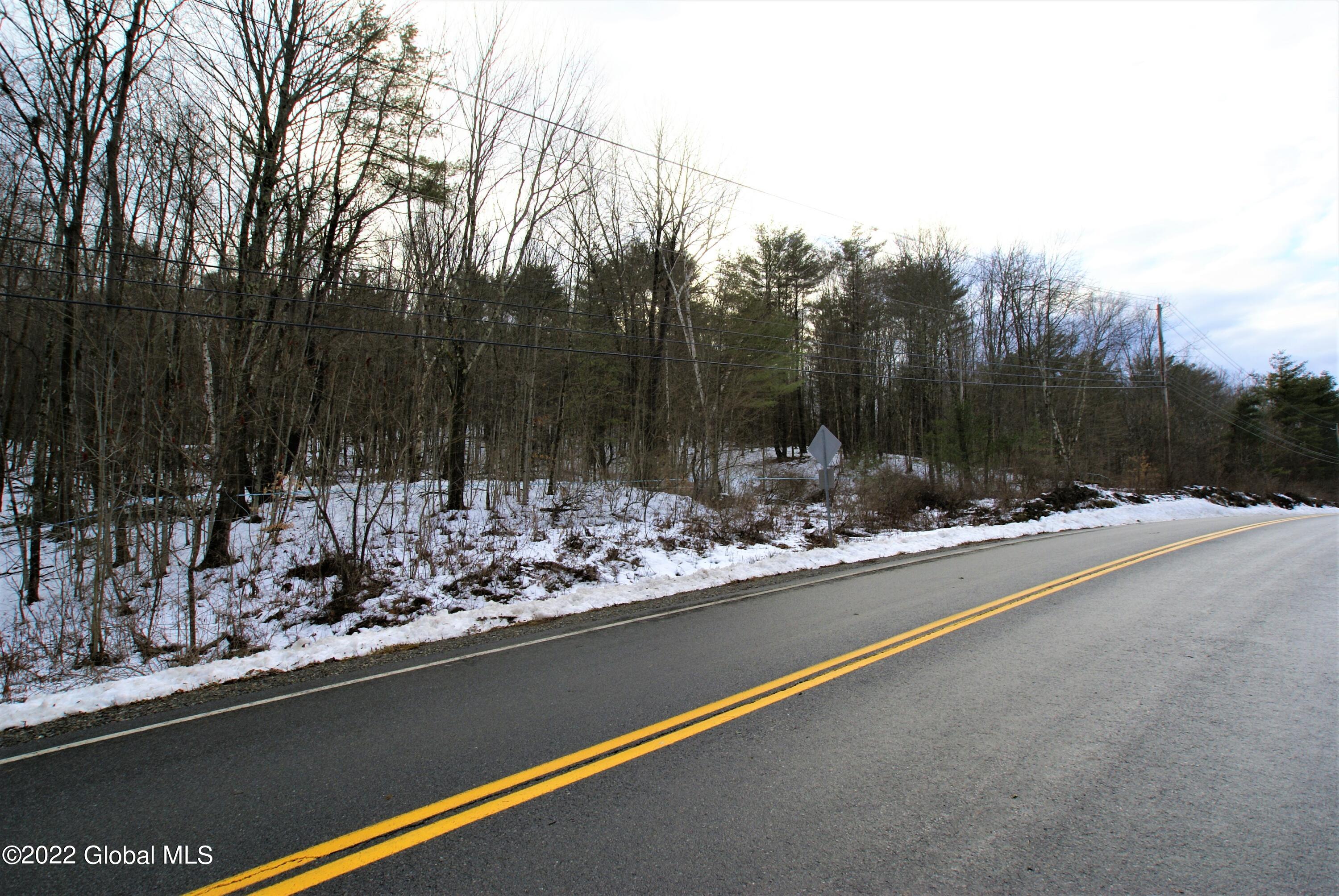 0 County Route 18 Whitehall, NY 12887 - Photo 4 of 4 Downng 24 acres (7)