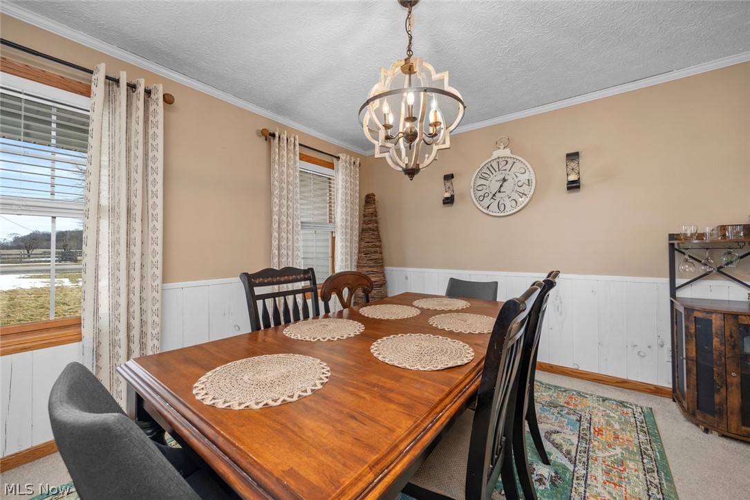 4273 Old State Road Willard, OH 44890 - Photo 13 of 50 Dining space featuring wainscoting, ornamental molding, a textured ceiling, suspended lighting, and wooden walls