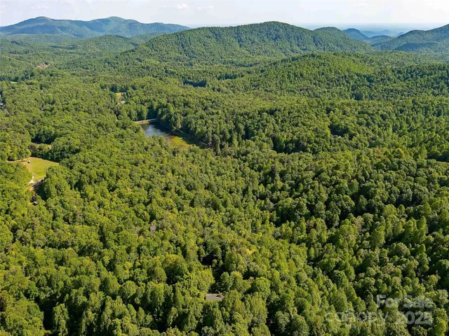 $650,000 | 151 Heatherly Heights Road, Saluda, NC 28773