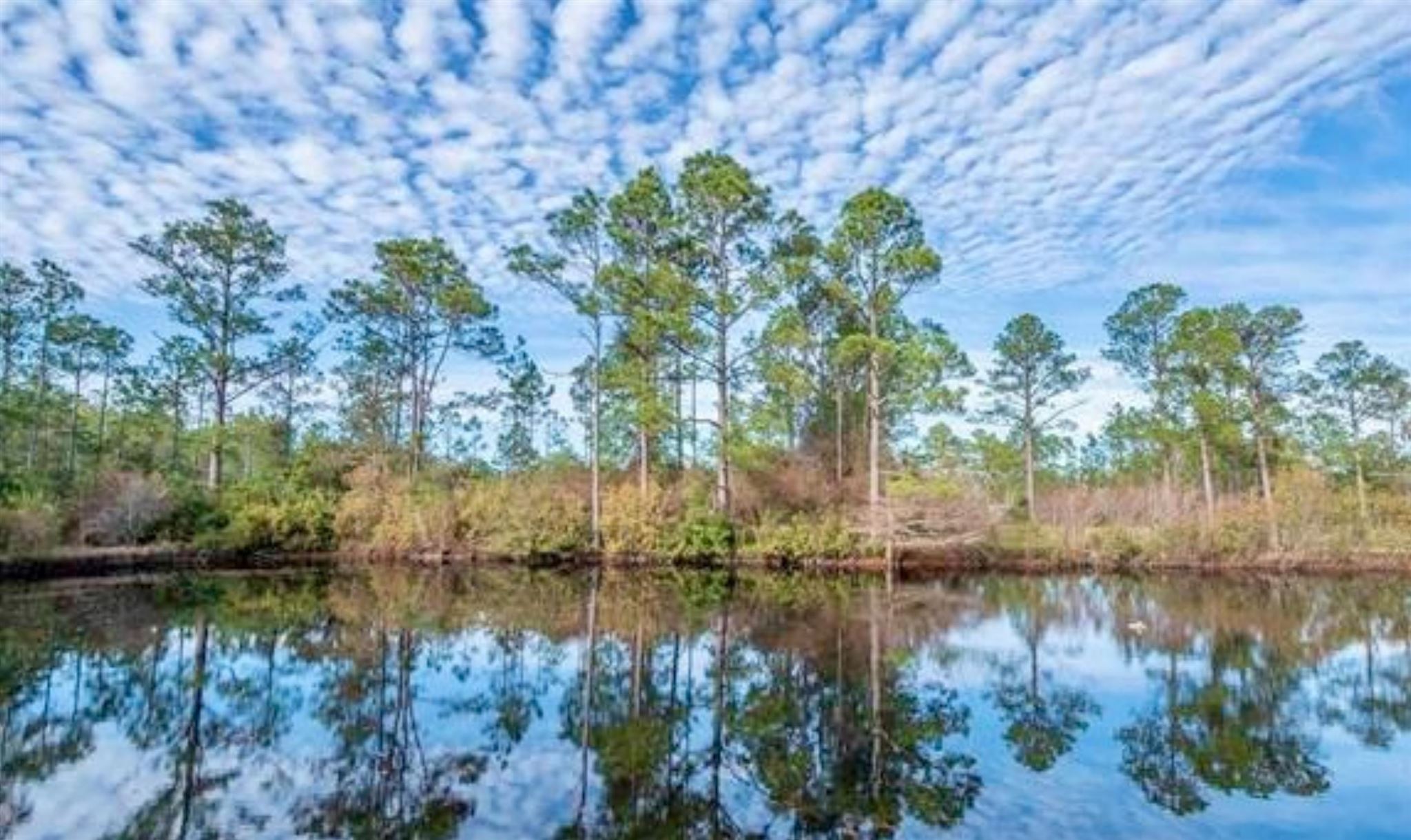 3075 Robinson Point Road Milton, FL 32583 - Photo 10 of 34
