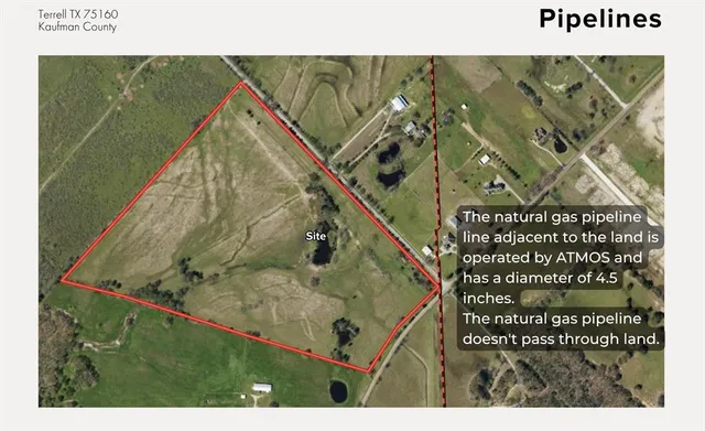 a picture of a tree in a park