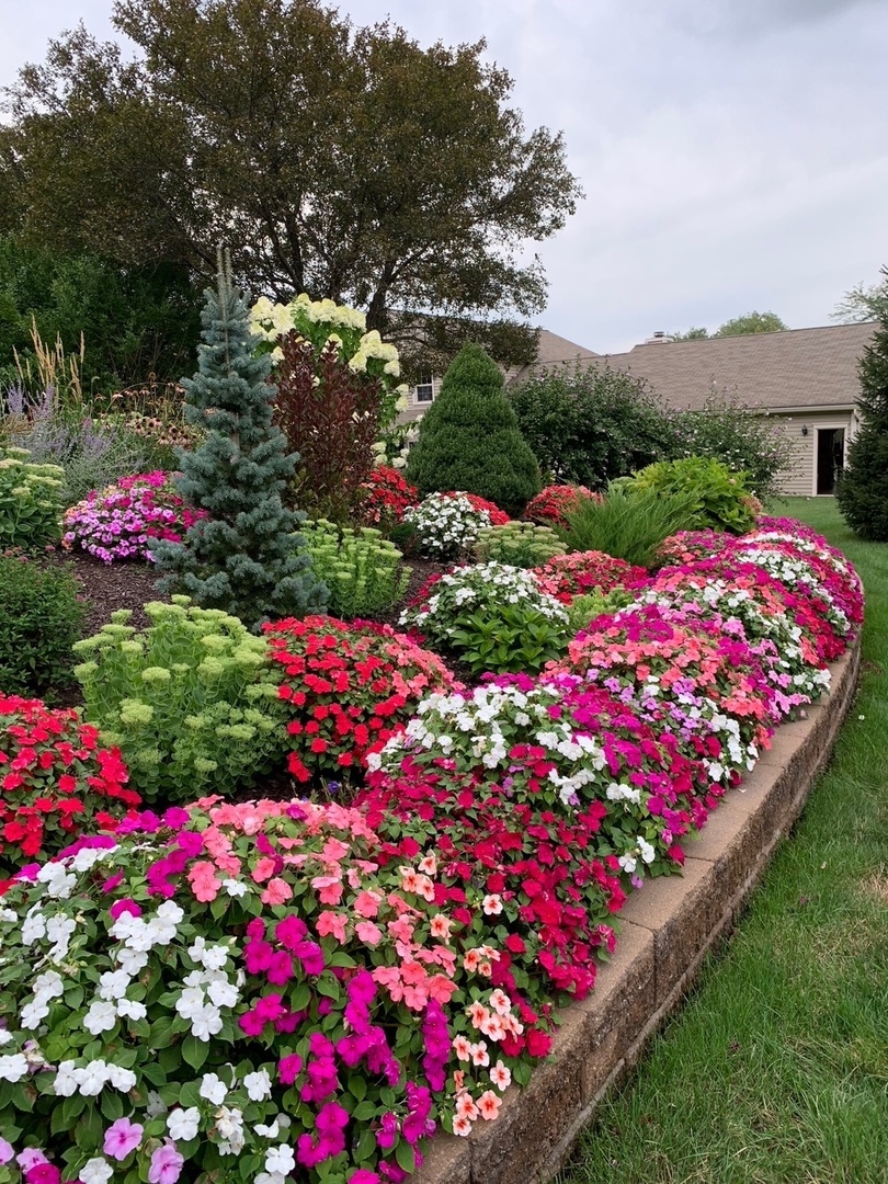 22 Barley Circle Bloomington, IL 61704 - Photo 30 of 30 a view of a flower in a lot of flowers in front of a house