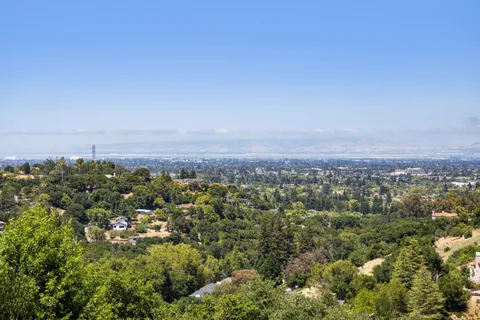 a view of a garden