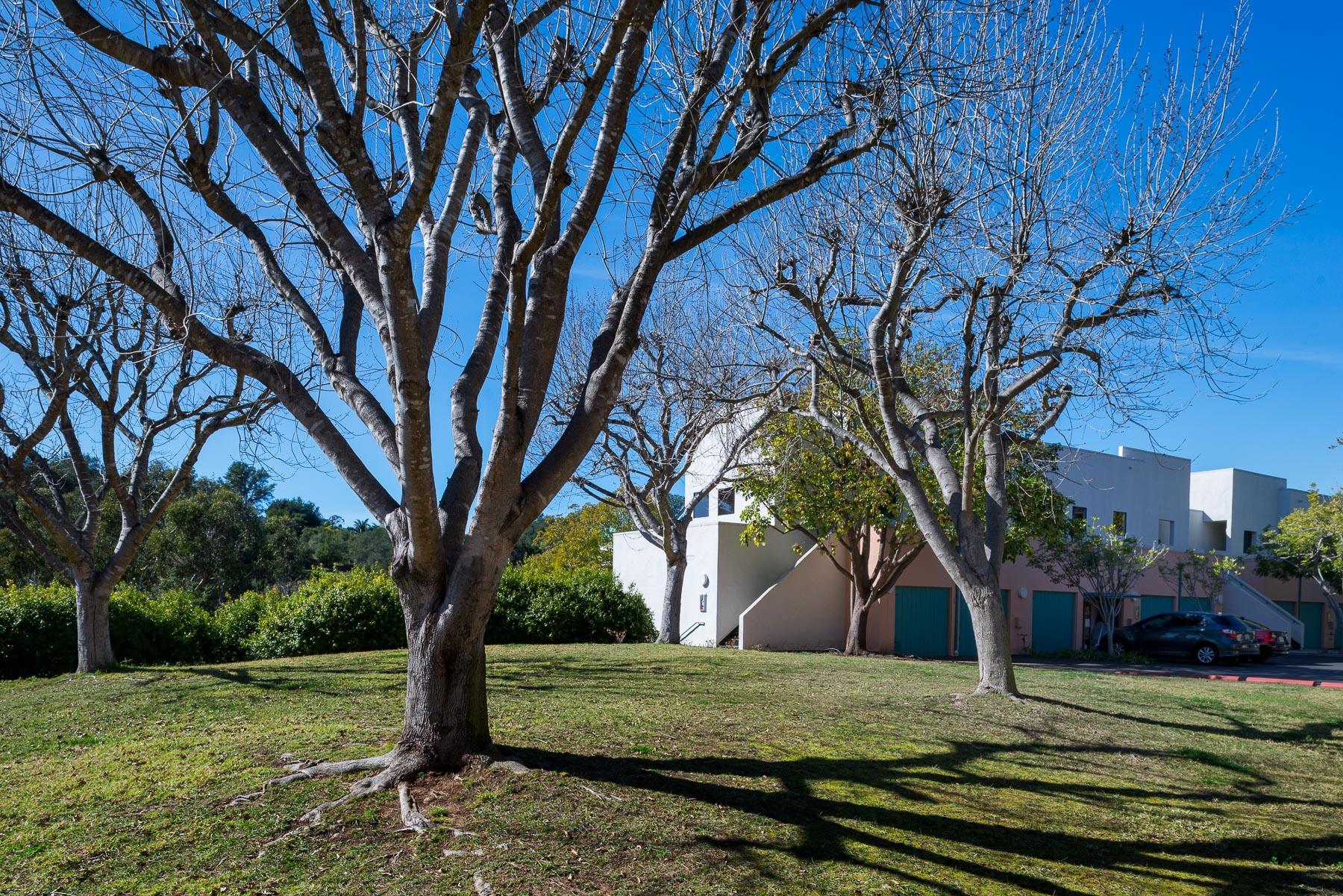 3570 Modoc Road, Unit 15 Santa Barbara, CA 93105 - Photo 1 of 9 Yard