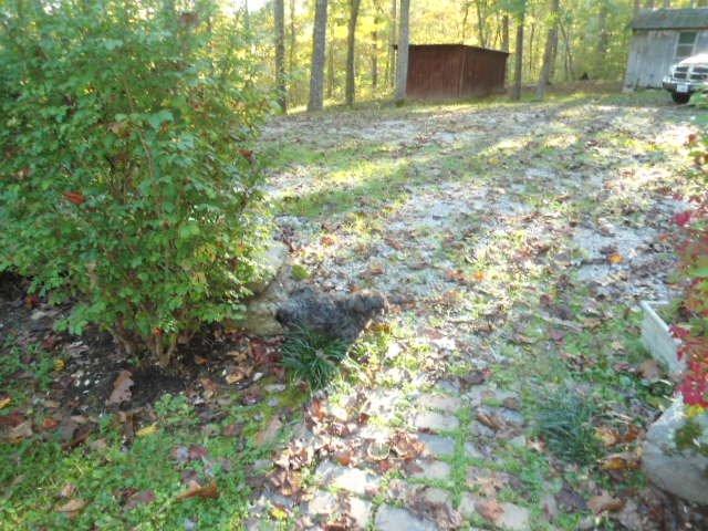 111 Wesley Chapel Road Somerset, KY 42501 - Photo 9 of 28 Additional Photo