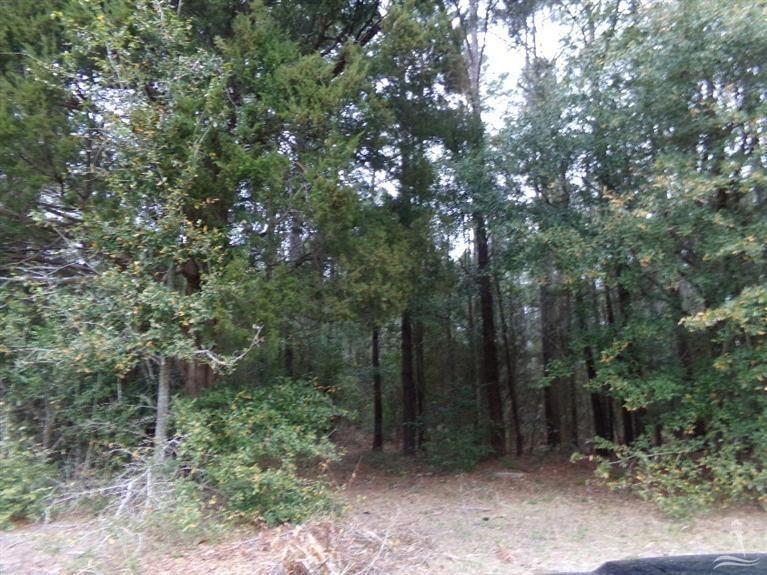0 Pigott Road Southwest Shallotte, NC 28470 - Photo 2 of 20 Additional Photo