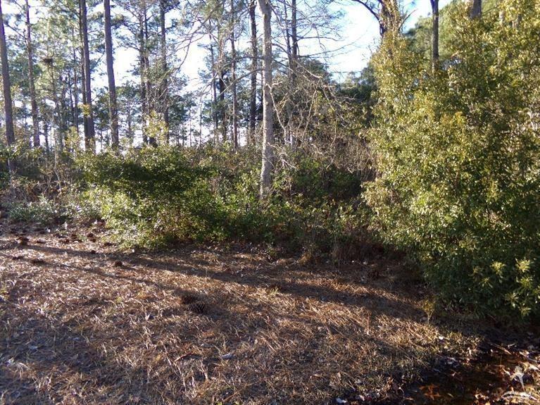 0 Pigott Road Southwest Shallotte, NC 28470 - Photo 3 of 20 Additional Photo