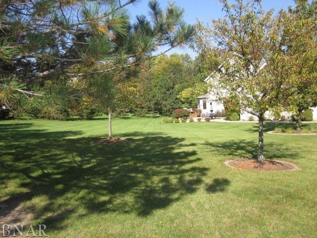 13894 Deer Ridge Road Bloomington, IL 61705 - Photo 29 of 30
