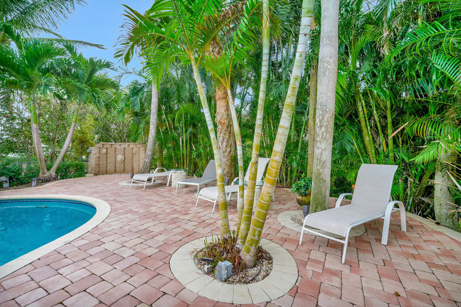 290 East Fern Drive Boca Raton, FL 33432 - Photo 39 of 51 Resort-Style Backyard