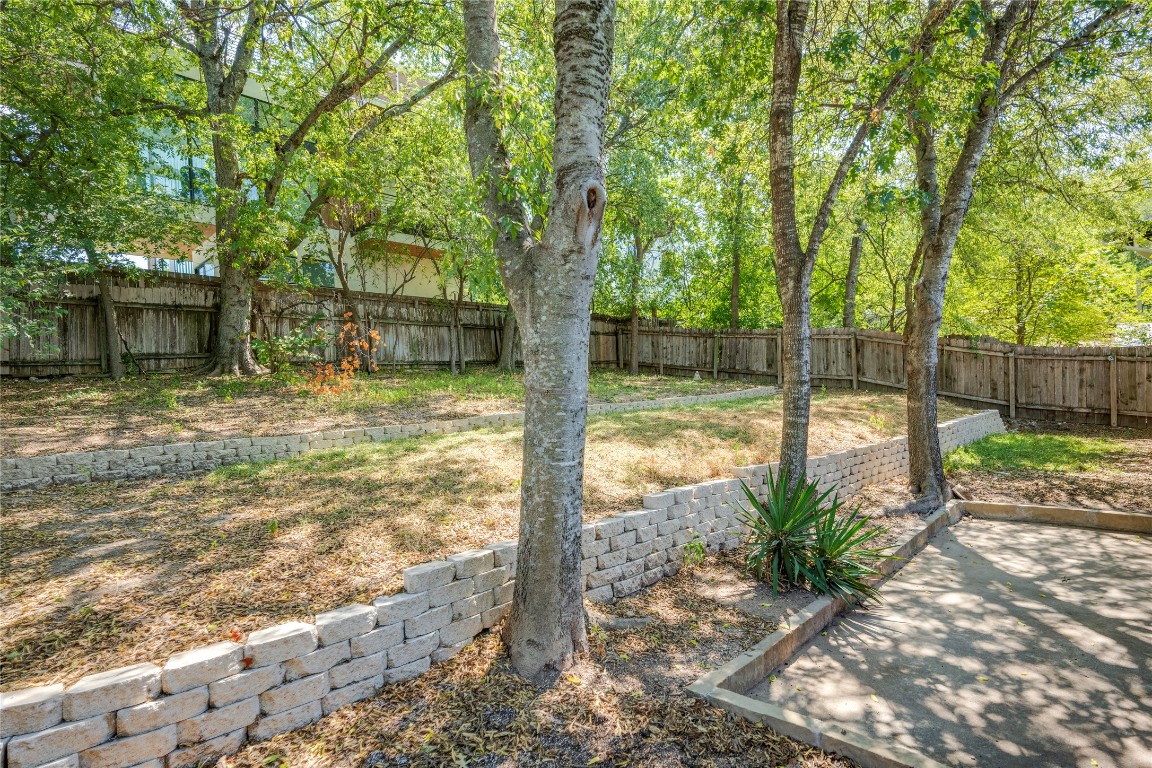 2903 South 5th Street Austin, TX 78704 - Photo 26 of 39 a view of a yard with large tree