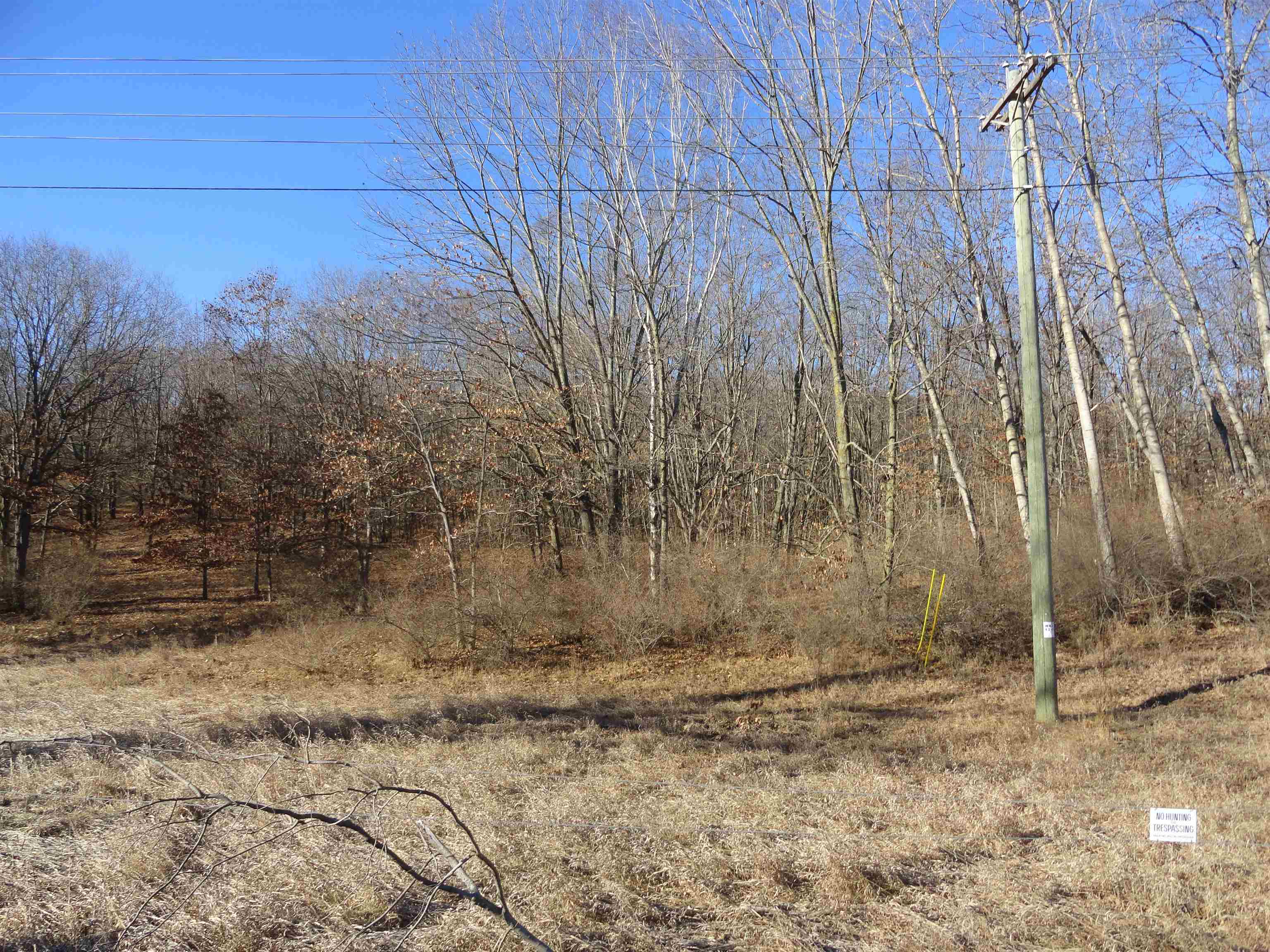 Tbd North Rolland Road Weidman, MI 48893 - Photo 2 of 14