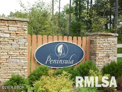 Lot 344 Parrish Ridge Goreville, IL 62939 - Photo 1 of 7 Gallery Image 1
