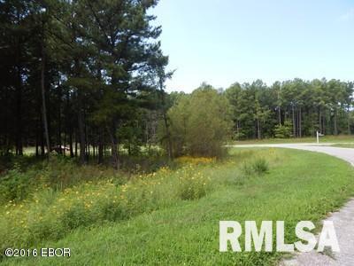 Lot 344 Parrish Ridge Goreville, IL 62939 - Photo 4 of 7 Gallery Image 4