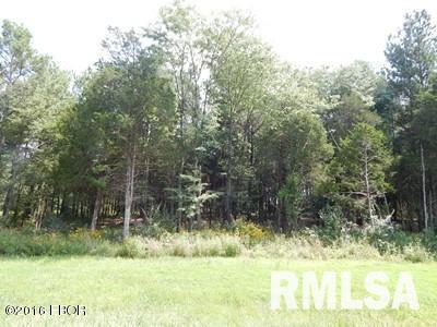 Lot 344 Parrish Ridge Goreville, IL 62939 - Photo 6 of 7 Gallery Image 6