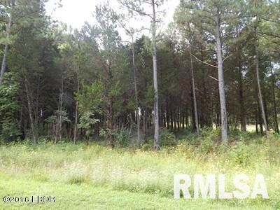 Lot 344 Parrish Ridge Goreville, IL 62939 - Photo 7 of 7 Gallery Image 7