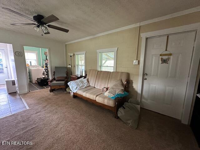 1332 Red Fletcher Road Jonesville, VA 24263 - Photo 5 of 20 IMG_9002