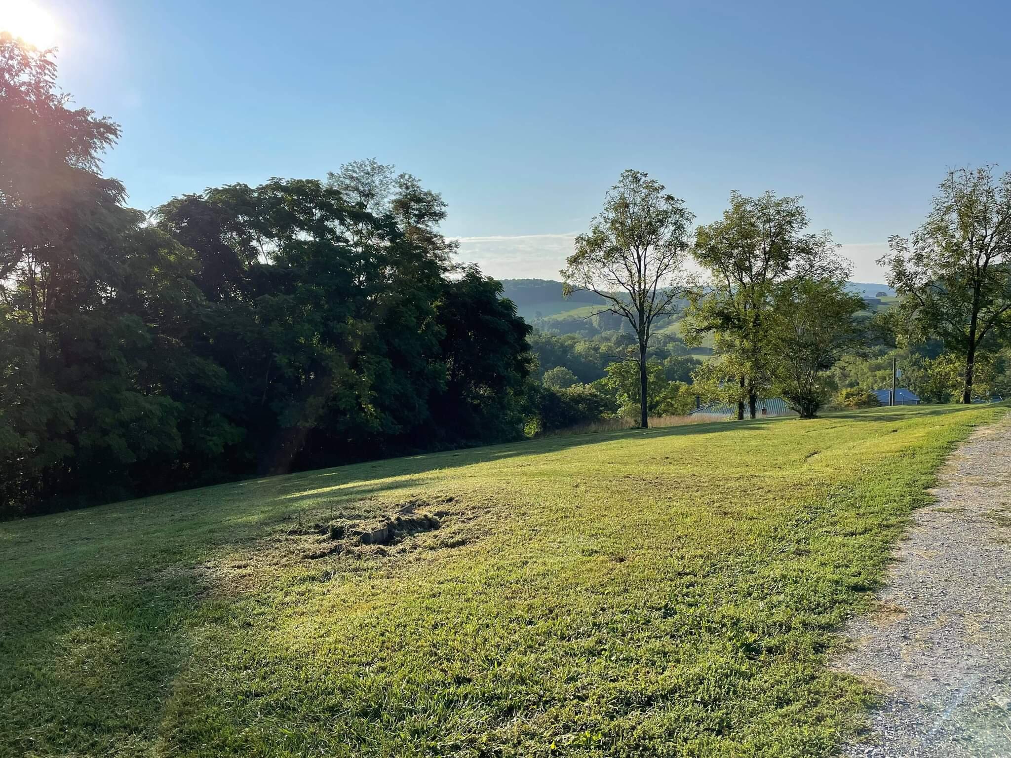 132 Hyatt Road Jonesville, VA 24263 - Photo 8 of 29 received_173538821460673
