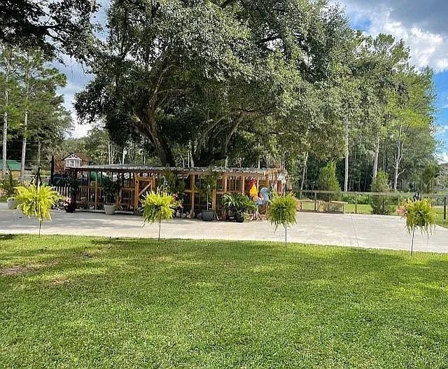 9068 131st Loop Live Oak, FL 32060 - Photo 4 of 28