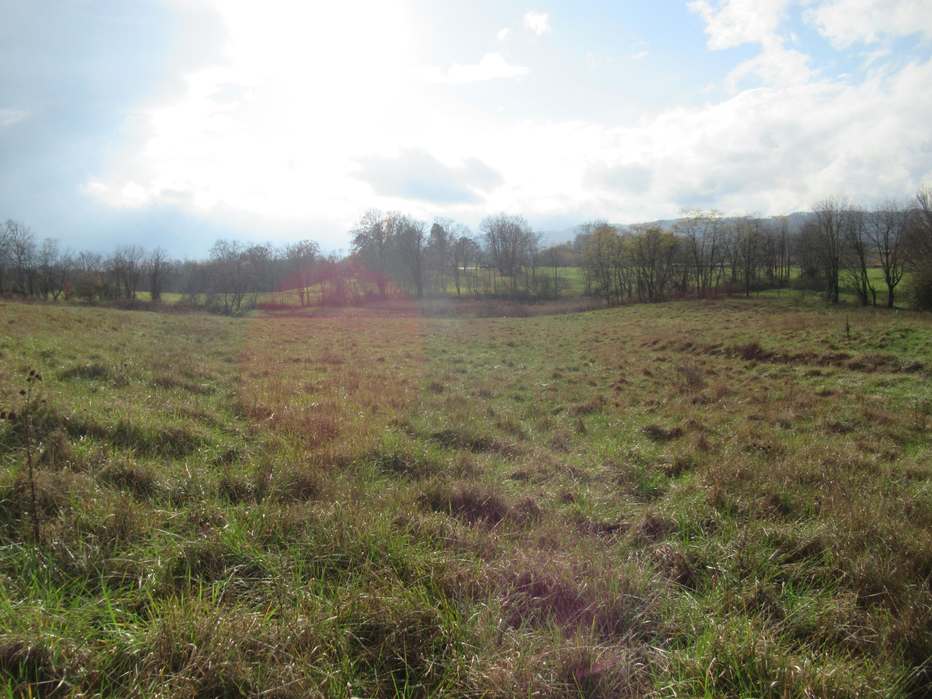 Houfnaggle Road Lewisburg, WV 24901 - Photo 6 of 25 Gallery Image 6