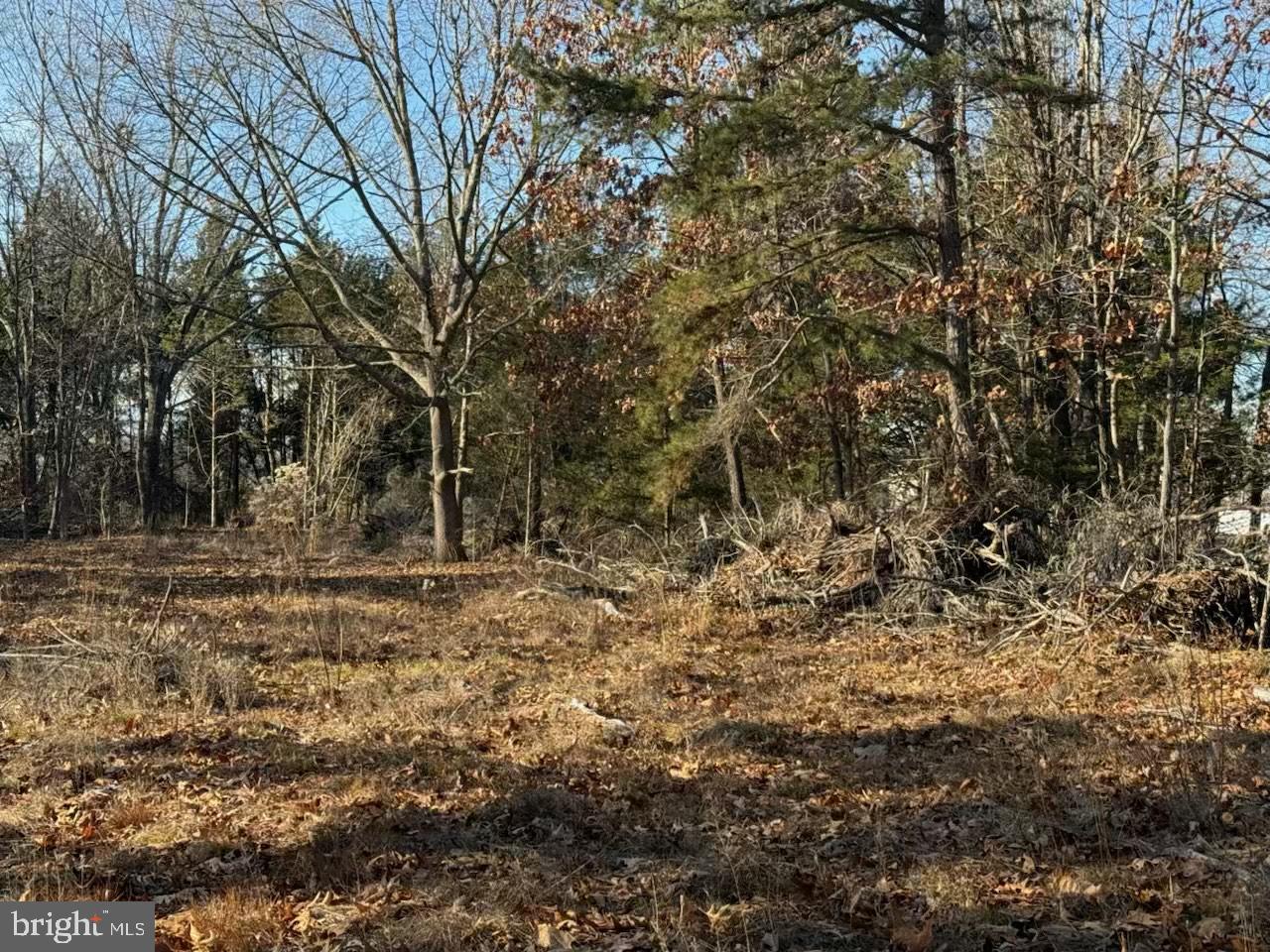 1070 Fries Mill Road Franklinville, NJ 08322 - Photo 2 of 8