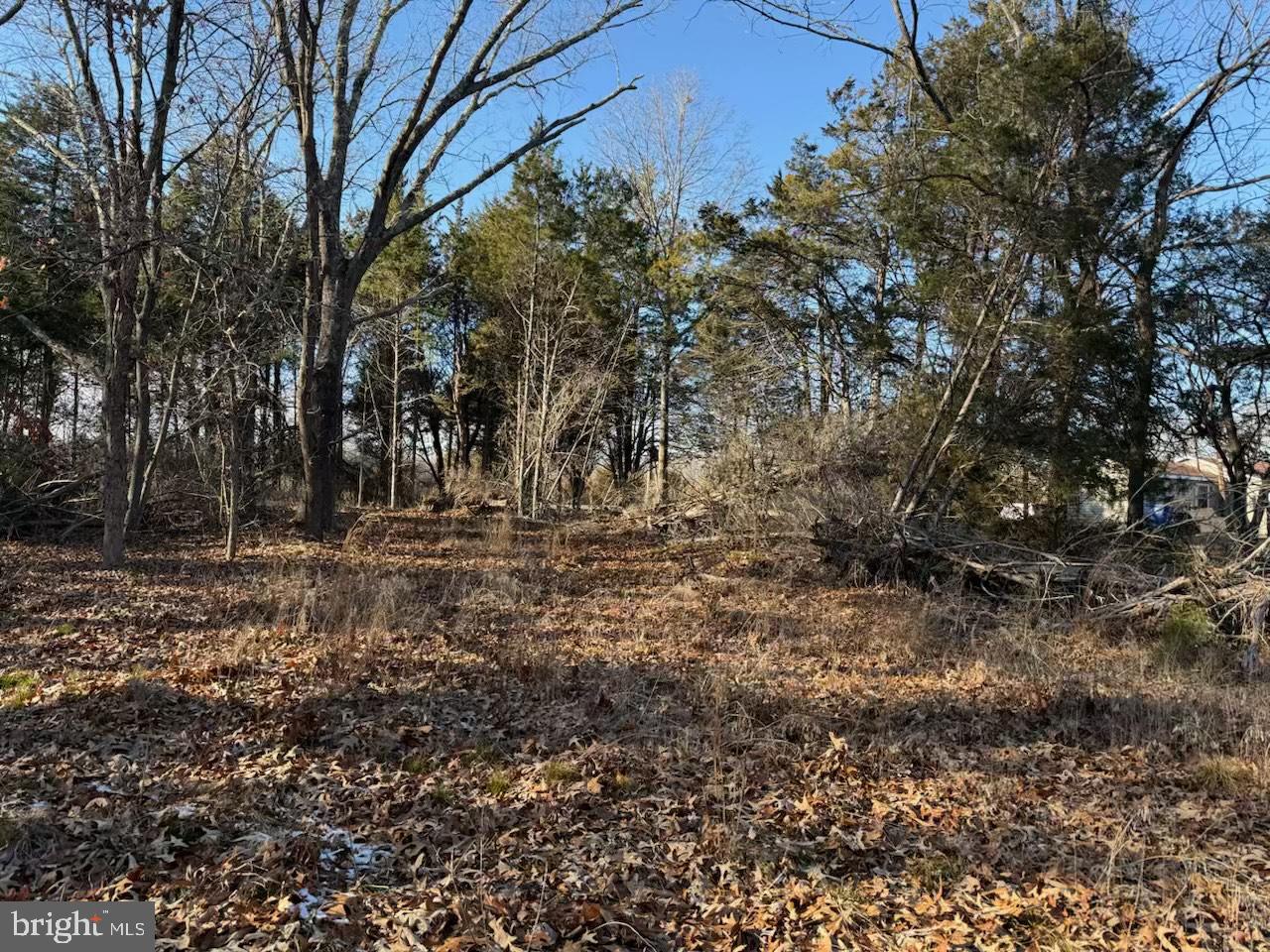 1070 Fries Mill Road Franklinville, NJ 08322 - Photo 3 of 8