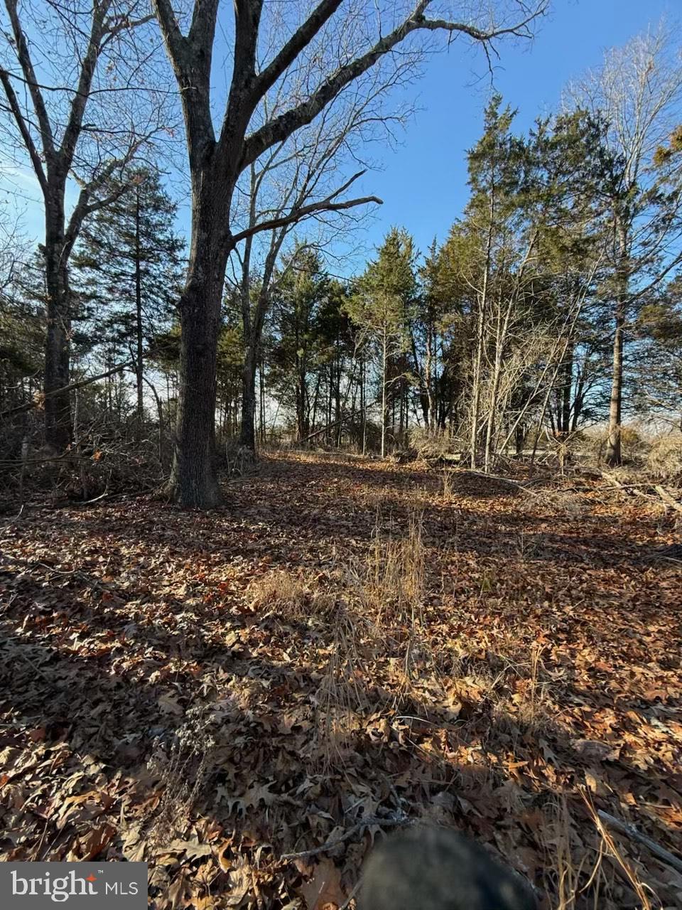 1070 Fries Mill Road Franklinville, NJ 08322 - Photo 4 of 8