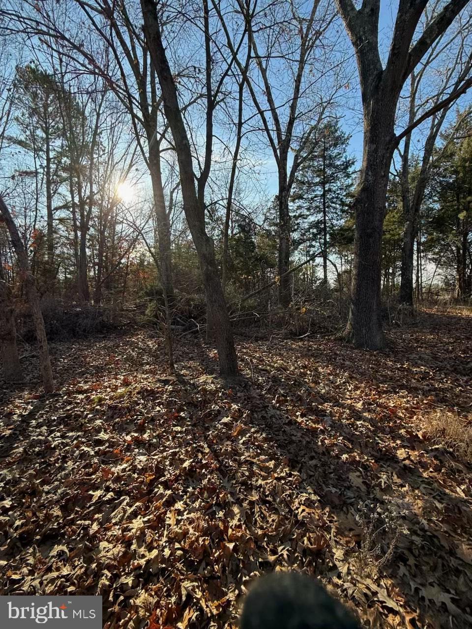 1070 Fries Mill Road Franklinville, NJ 08322 - Photo 5 of 8