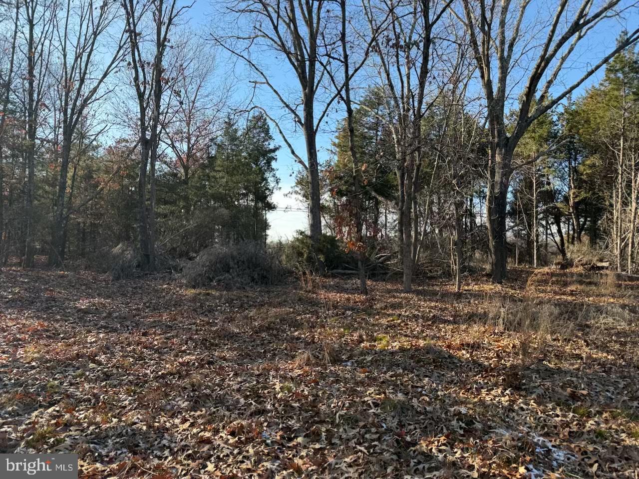 1070 Fries Mill Road Franklinville, NJ 08322 - Photo 6 of 8