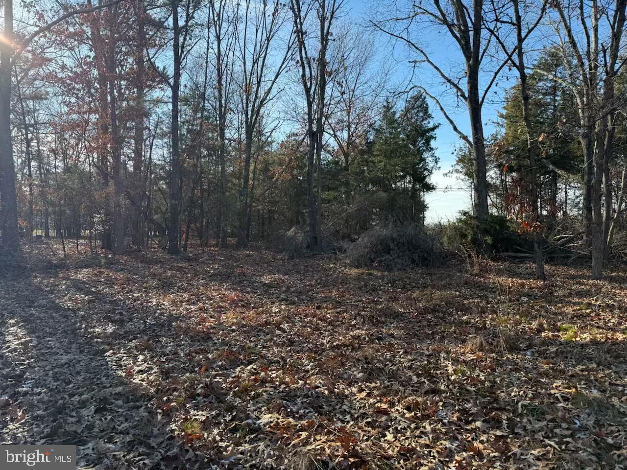 1070 Fries Mill Road Franklinville, NJ 08322 - Photo 7 of 8