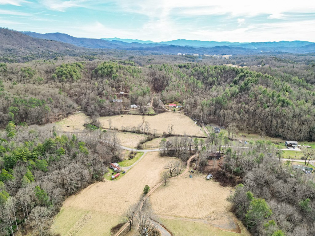 1098 Rowland Hill Road Marble, NC 28905 - Photo 3 of 26