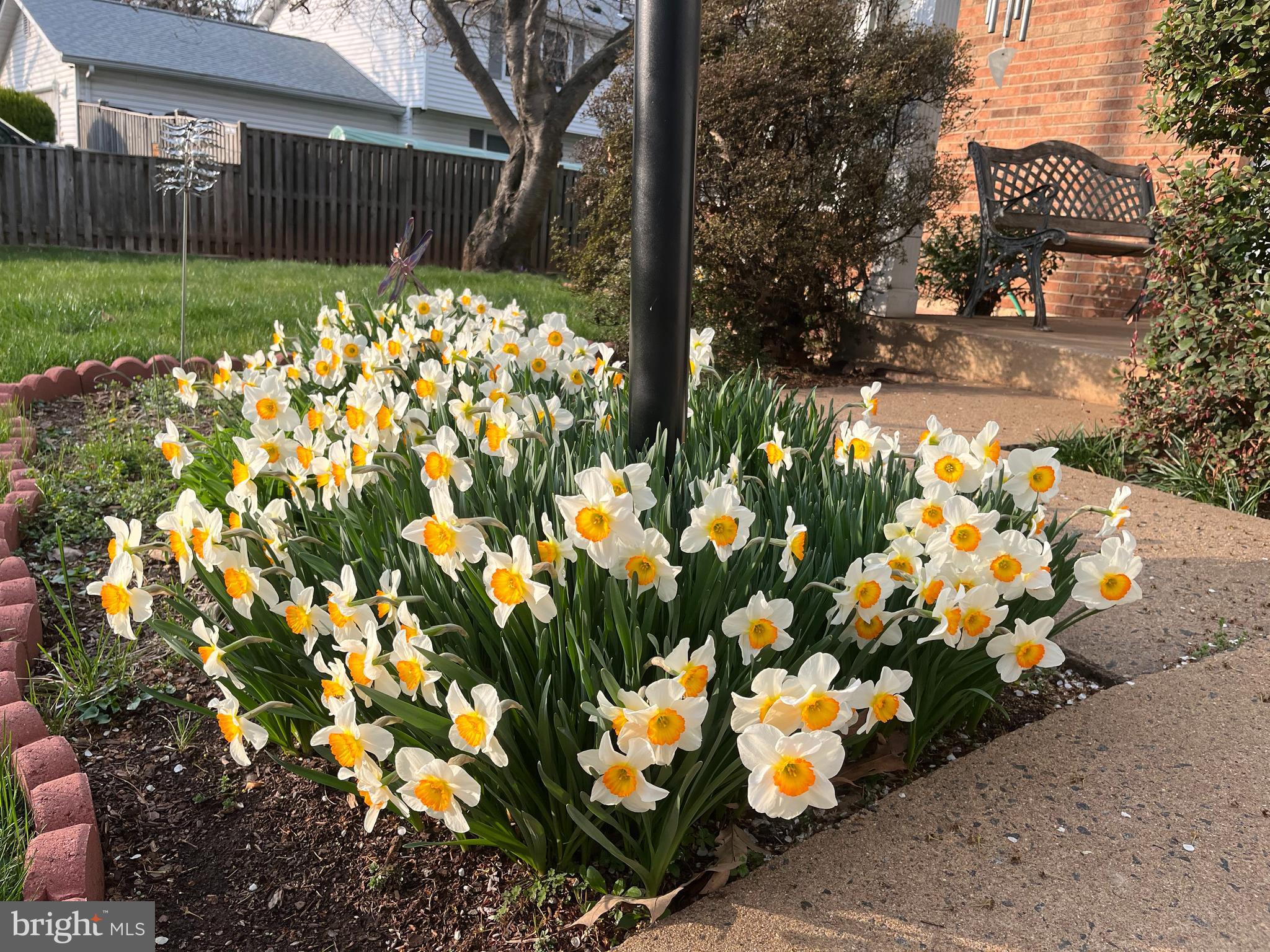 10103 Trinity Lane Manassas, VA 20110 - Photo 29 of 36 Spring flowers