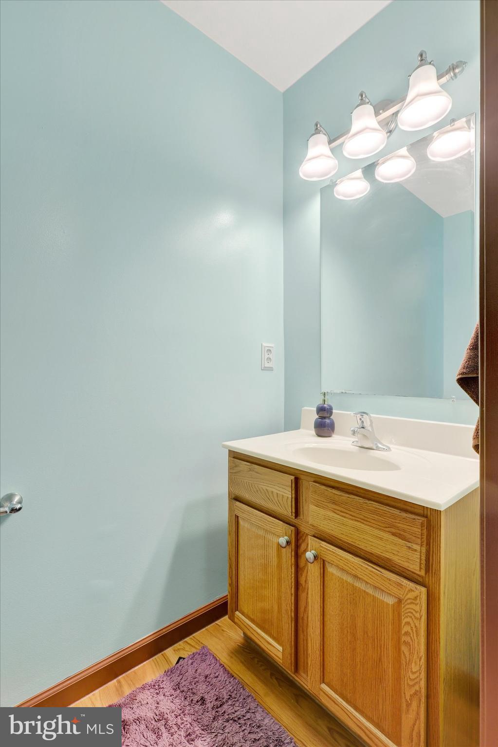 1109 Baltimore Road Shippensburg, PA 17257 - Photo 14 of 32 a bathroom with a sink and a mirror