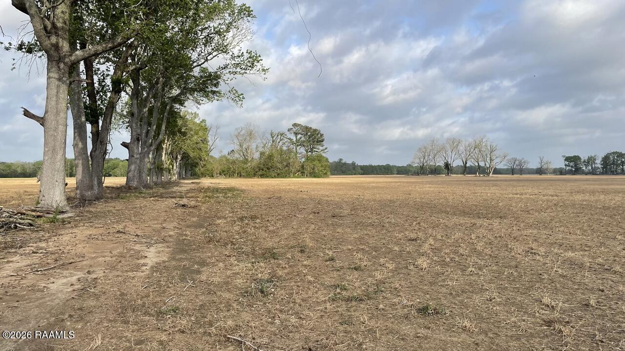 Tbd Oscar Rivette Road Arnaudville, LA 70512 - Photo 14 of 32 IMG_0141 Large